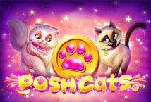 Posh Cats slot